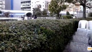 [AI换脸] 欧美演艺圈淫梦再现~把魔法高材生压在床上吸吮每一吋肌肤和奶头~